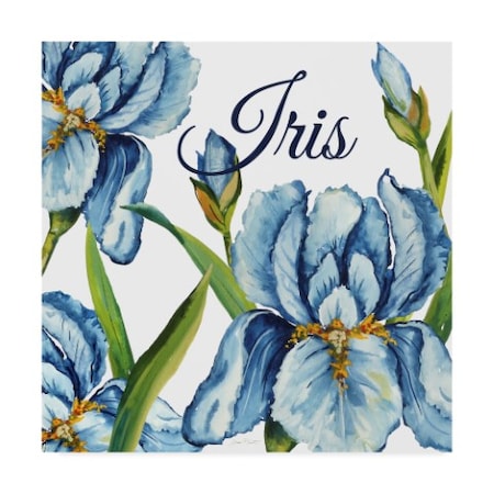 Jean Plout 'Iris Blue White' Canvas Art,24x24